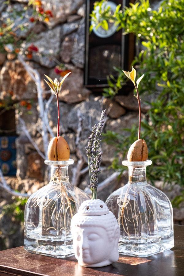 Casa Di Pietra Hotell Fethiye Exteriör bild